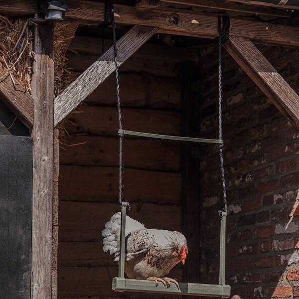 Hühnerschaukel aus recyceltem Kunststoff